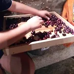 Dom wakacyjny Dos Tavoras