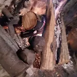 Dos Távoras * Mirandela