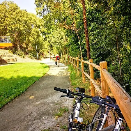 Dos Távoras Casa de Férias *