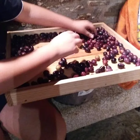 Casa vacanze Dos Távoras