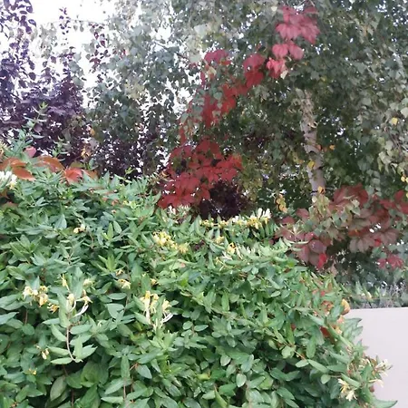 Dos Távoras Casa vacanze *