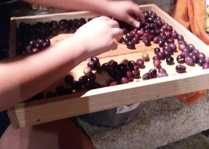 Dom wakacyjny Dos Tavoras