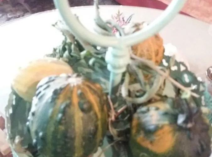 Dom wakacyjny Dos Tavoras Mirandela