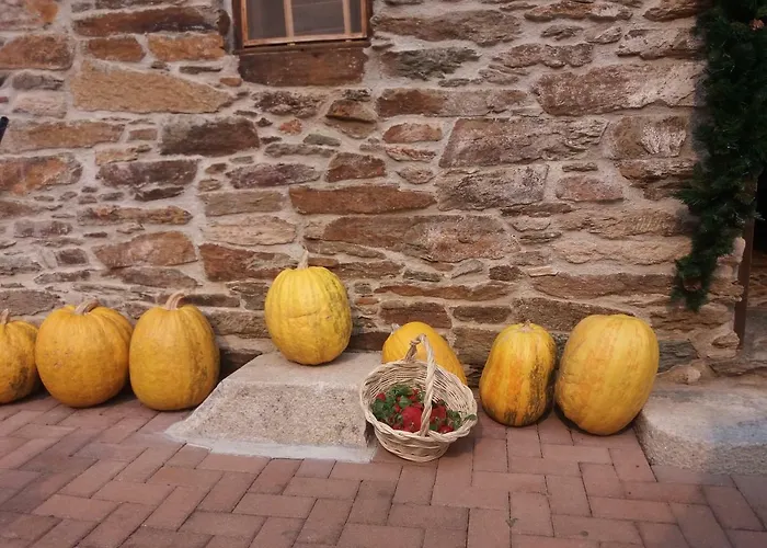 Prázdninový dům Dos Tavoras *