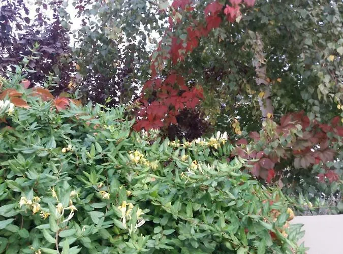 Dos Tavoras Dom wakacyjny *